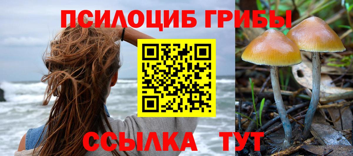 Псилоцибиновые грибы ЛСД Абакан