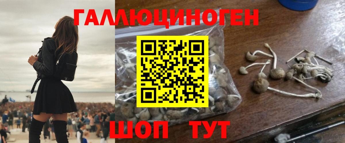 Псилоцибиновые грибы Magic Shrooms  Галлюциногенные грибы MAGIC MUSHROOMS  Вход с VPN  Абакан 